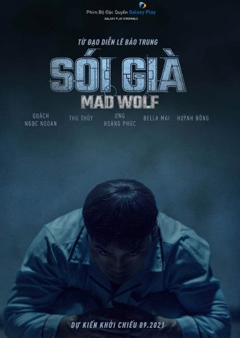Sói Già 