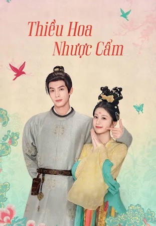 Thiều Hoa Nhược Cẩm 